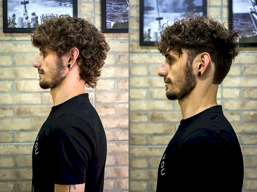 Curly Fade Herrenfrisuren
