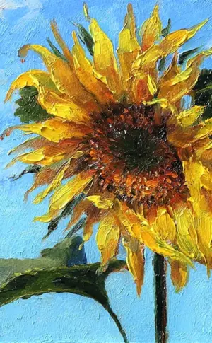 Quindzhi Sonnenblumen