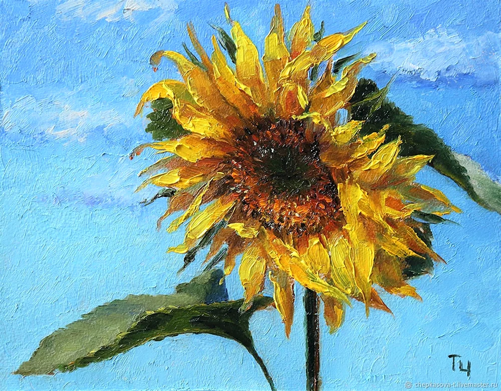 Quindzhi Sonnenblumen
