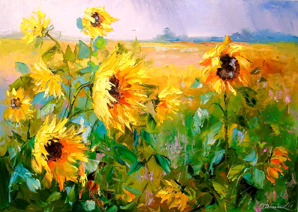 Quindzhi Sonnenblumen