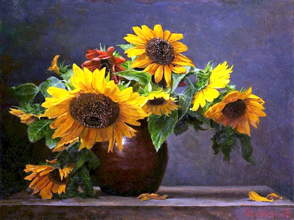 Quinji Sonnenblumen