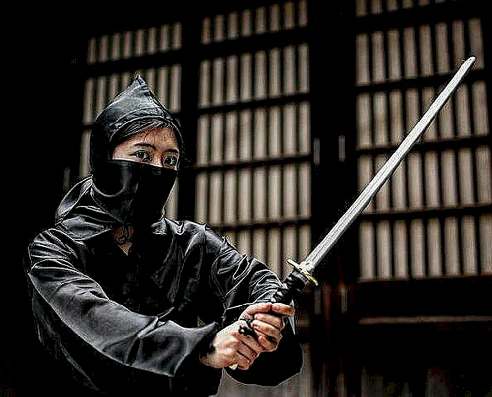Kunoichi ist ein weiblicher Ninja in Japan.