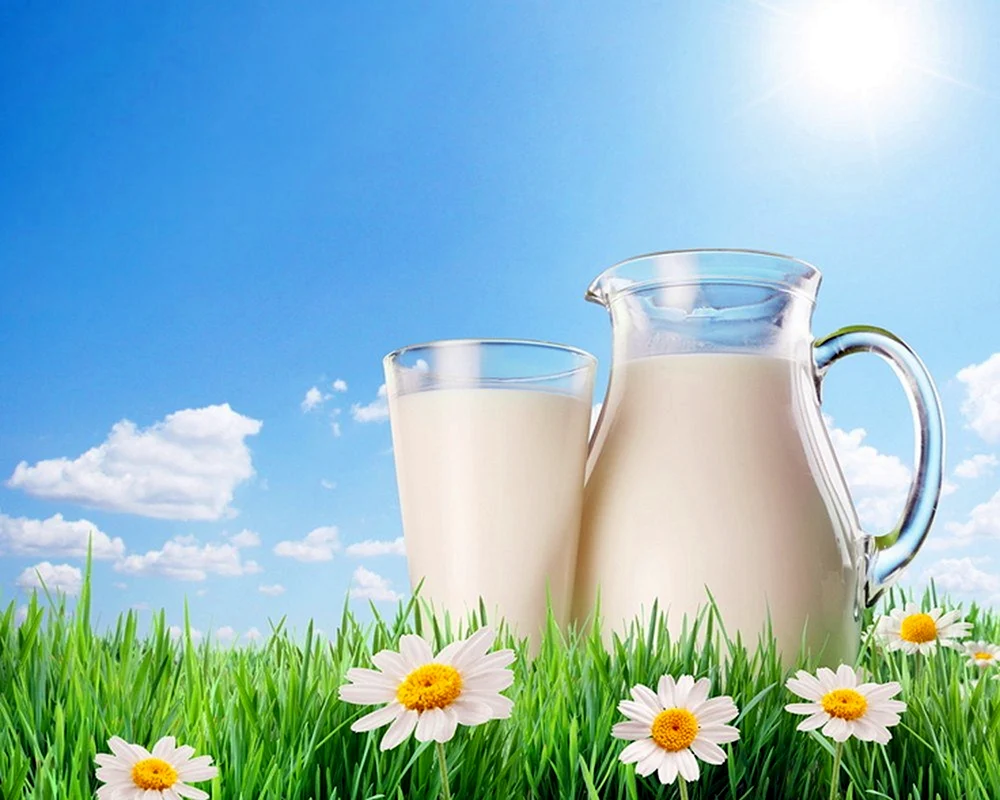 Krug mit Milch