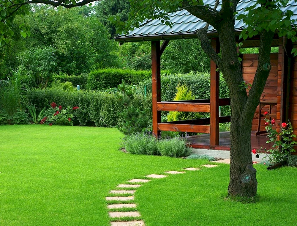 Dacha. Sommer