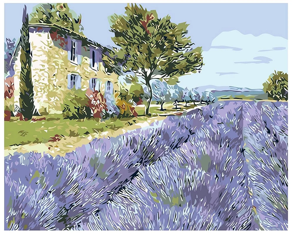 Lavendelfelder Jean Marc Janiachik