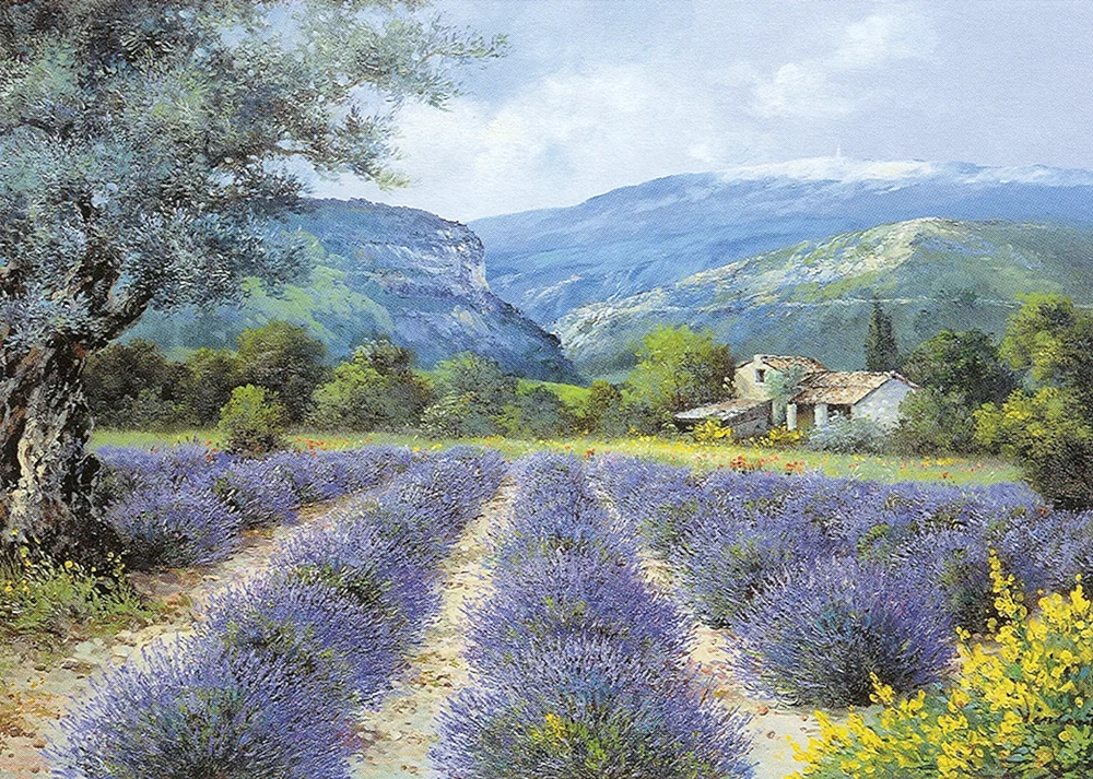 Lavendelfelder Jean Marc Janiachik