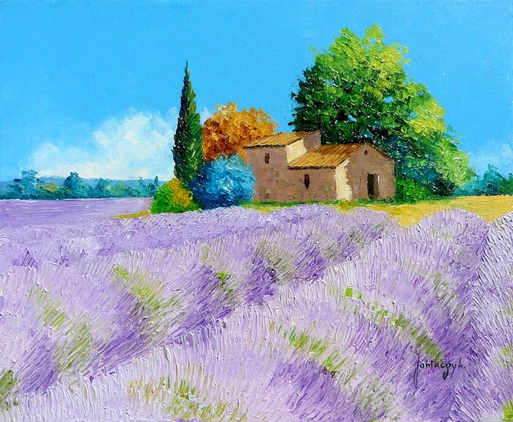 Lavendelfelder Jean Marc Gignacic
