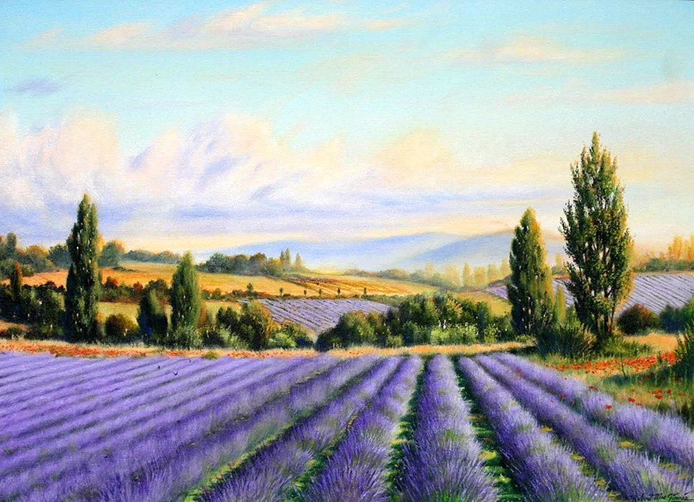 Lavendelfelder Jean Marc Janiachik