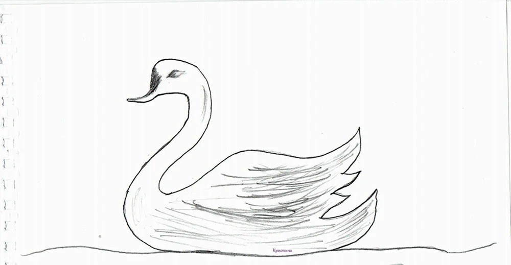 Schwan Bild für Kinder