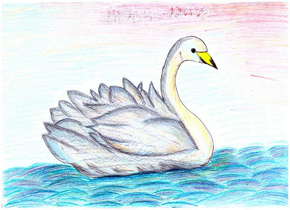 Schwan Zeichnung