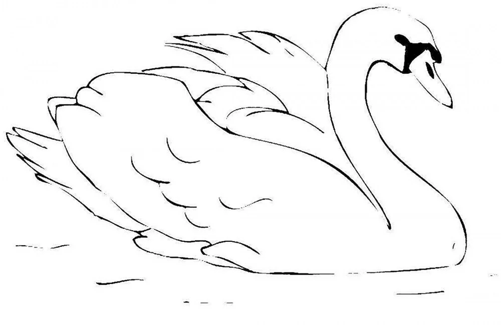 Schwan zeichnen zum Zeichnen