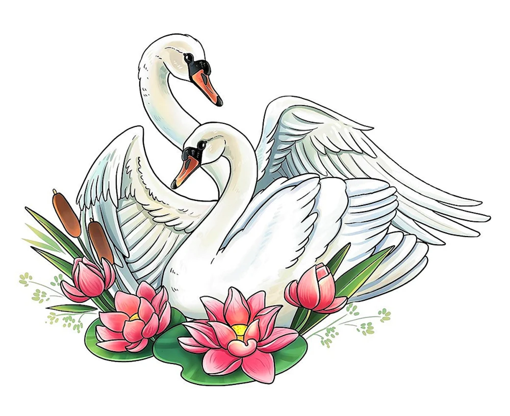 Schwan Zeichnung
