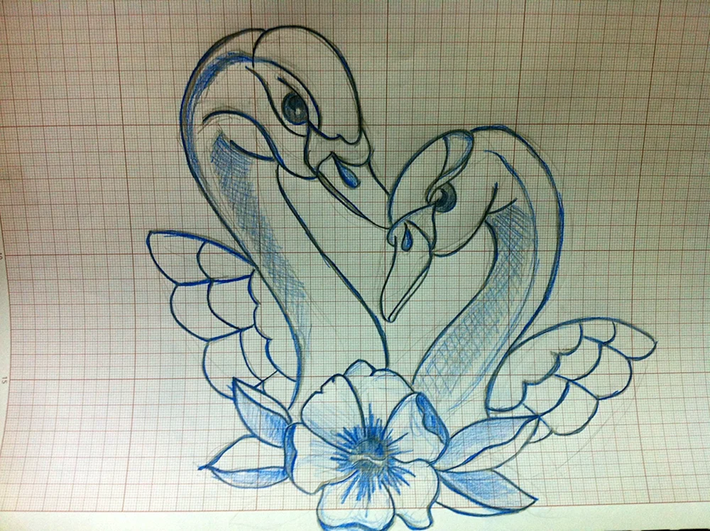 Schwan Zeichnung
