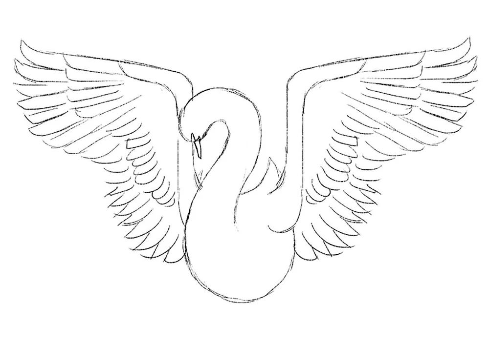 Schwan zeichnen