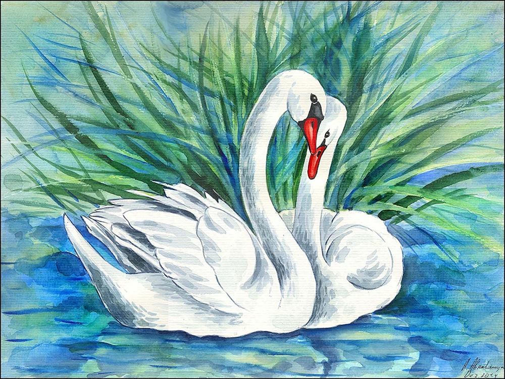 Schwan Zeichnung