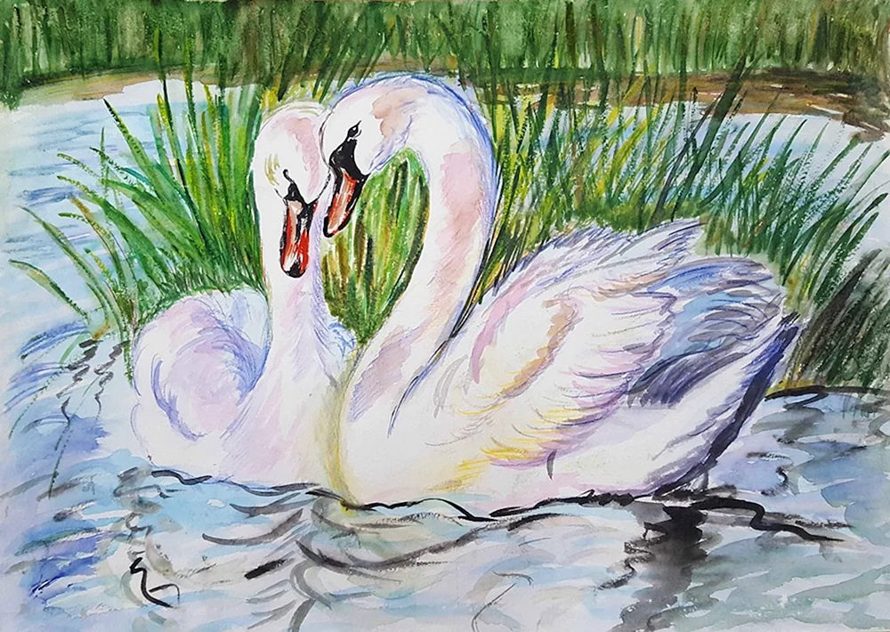 Schwan Zeichnung