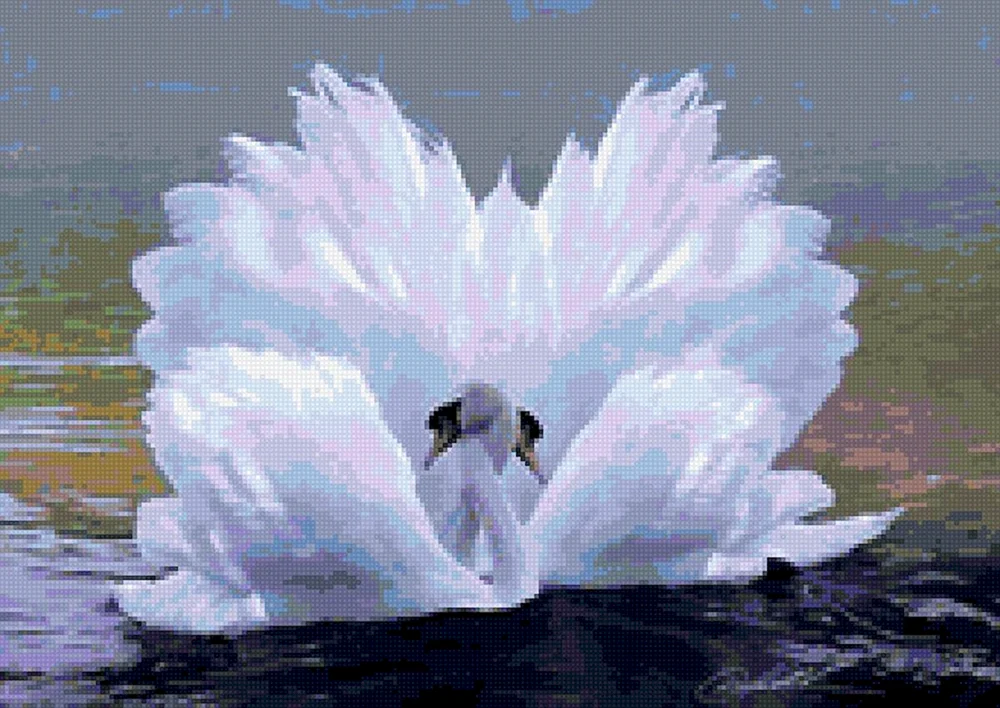 Schwan Schwalbe