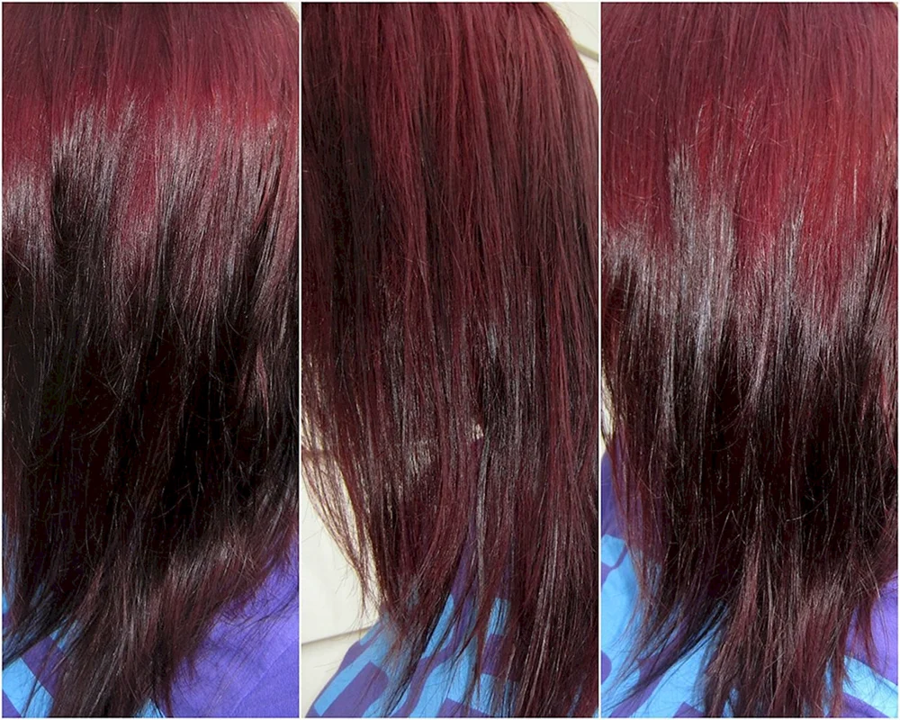 Lady Henna Burgundy