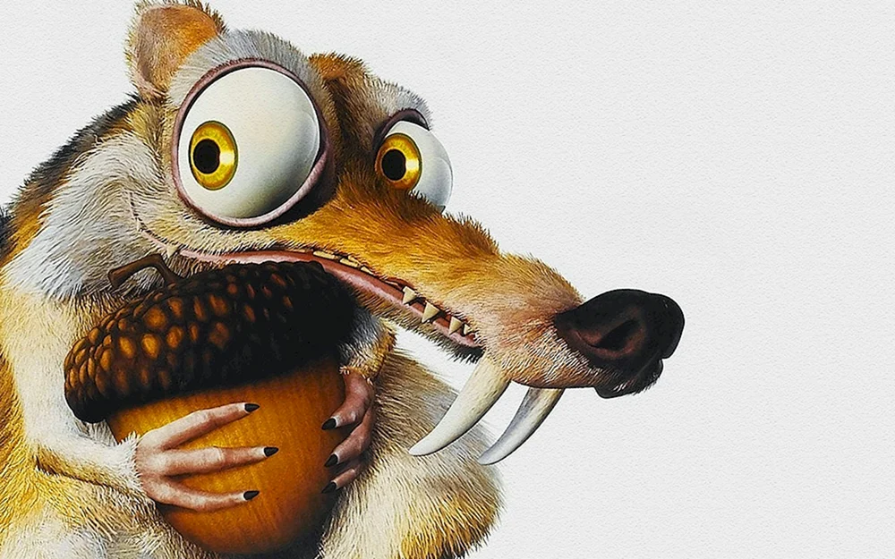 Eichhörnchen