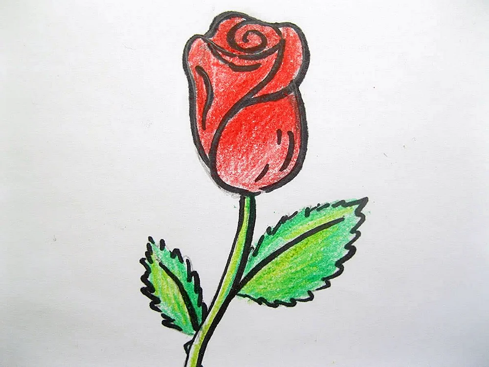 Blumen zeichnen mit Bleistift