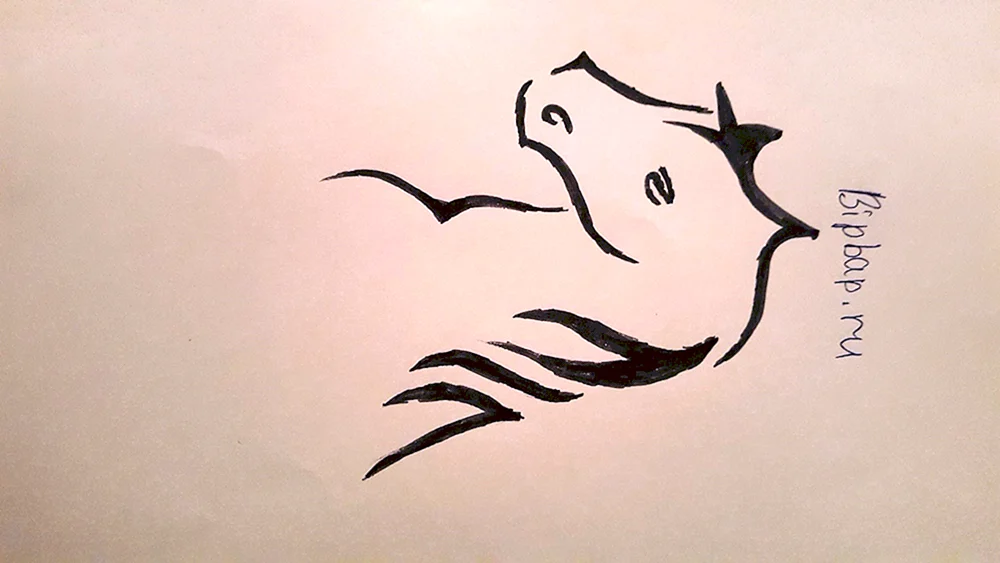 Flash-Pens zum Zeichnen
