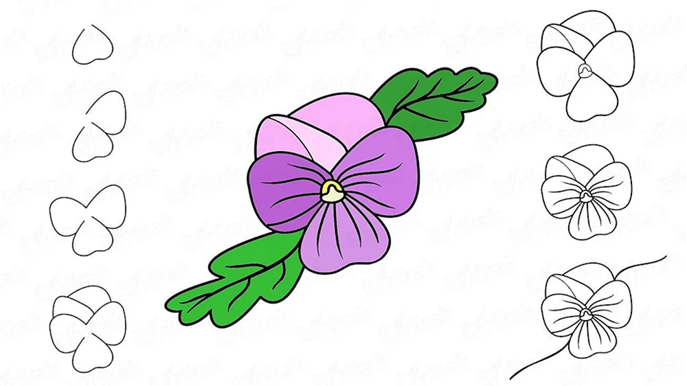 Blumen Zeichnung
