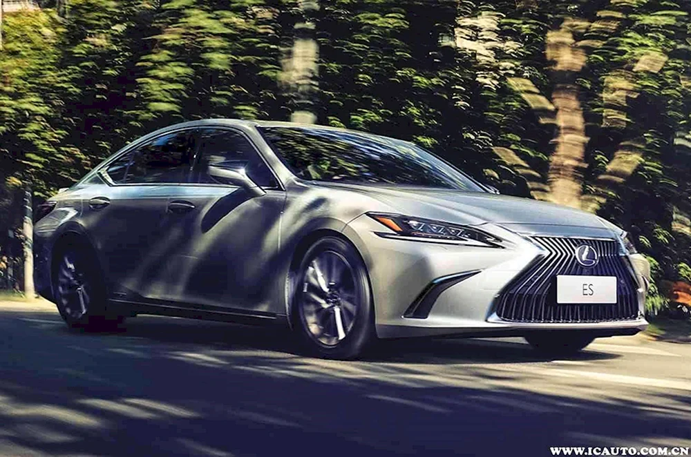 Lexus Life