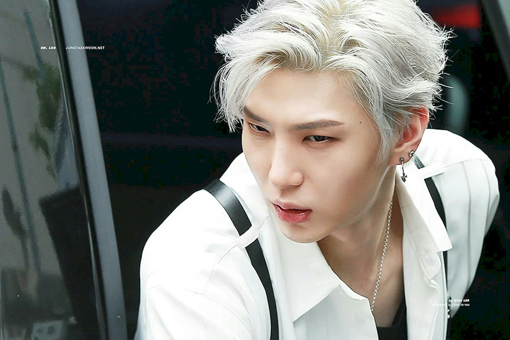 Leo VIXX
