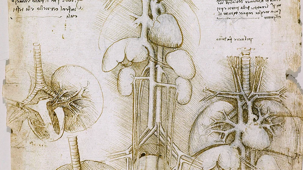 Leonardo da Vinci Geschichte der Medizin