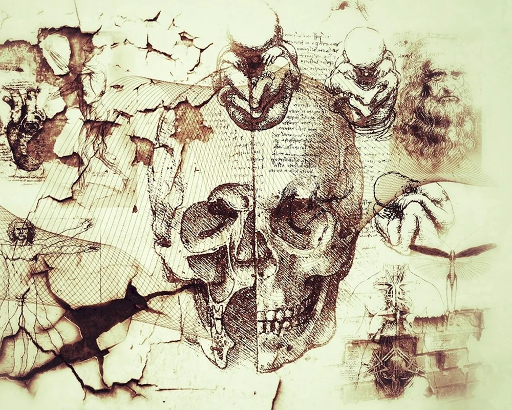 Skelett-Scans