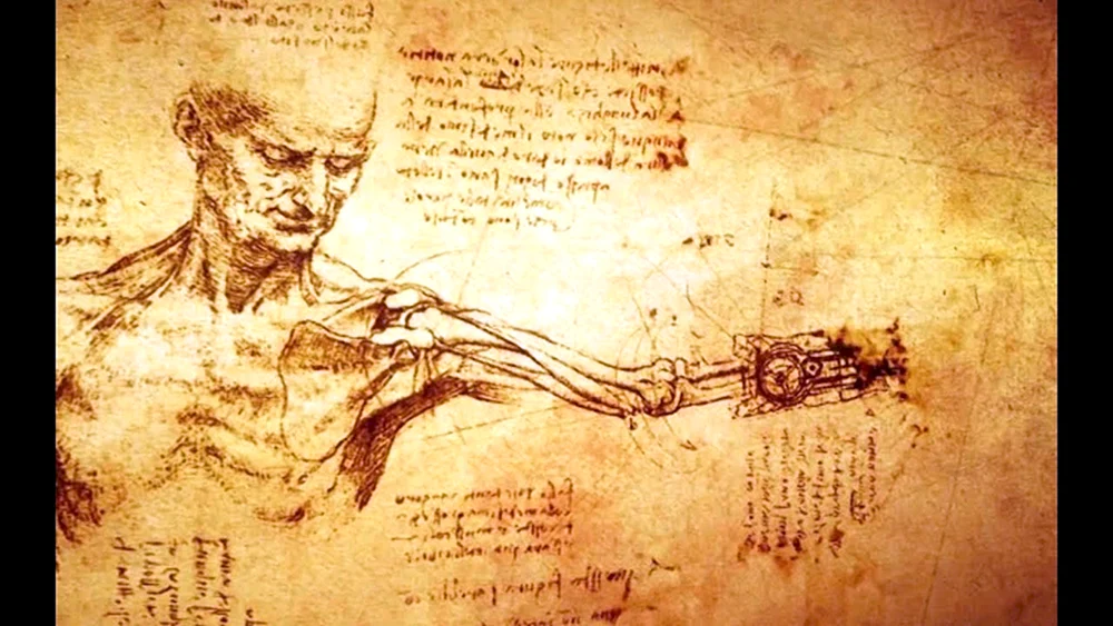 Hintergrund für Anatomie Präsentation