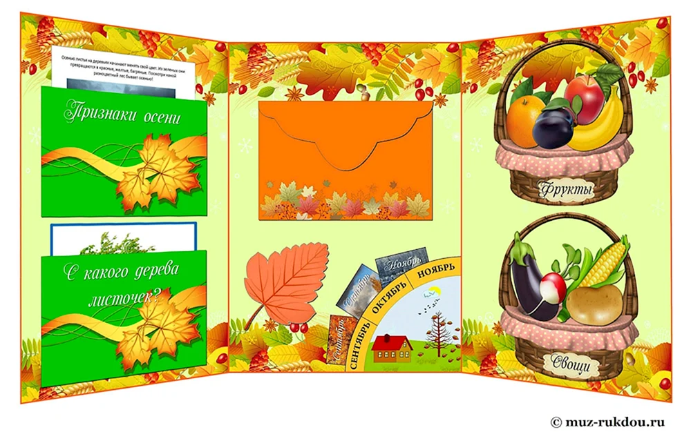 Hintergrund für Lapbook Ökologie
