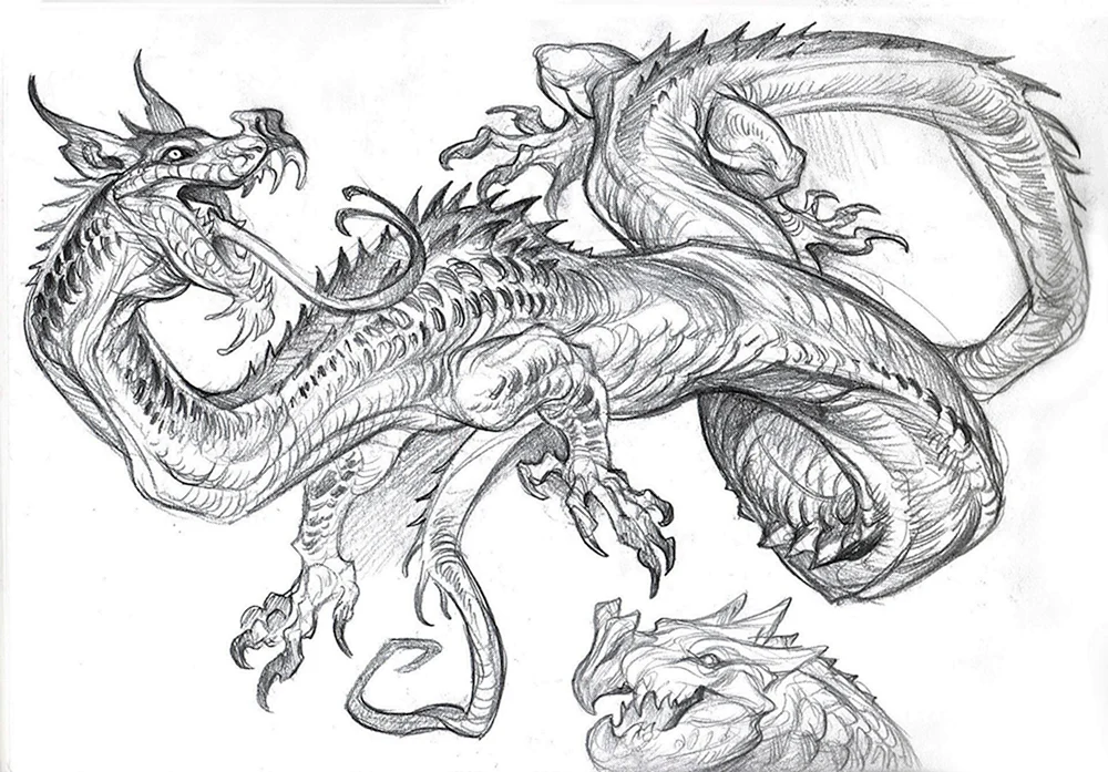 Lerne Hydra