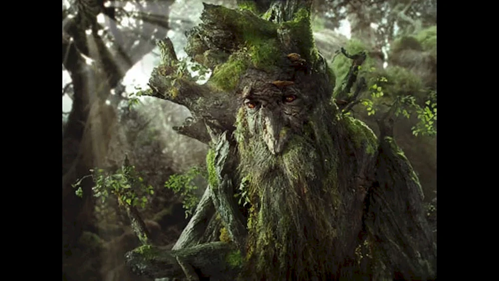 Gilly Leshy