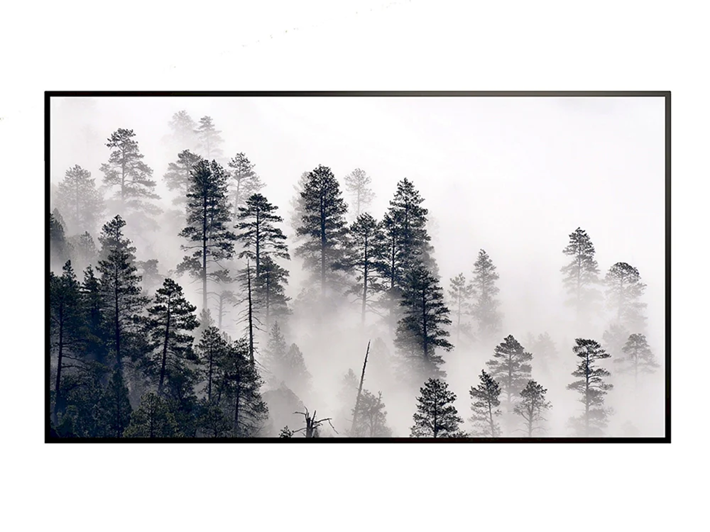 Dunkle Nadeltanne Taiga Sibirien