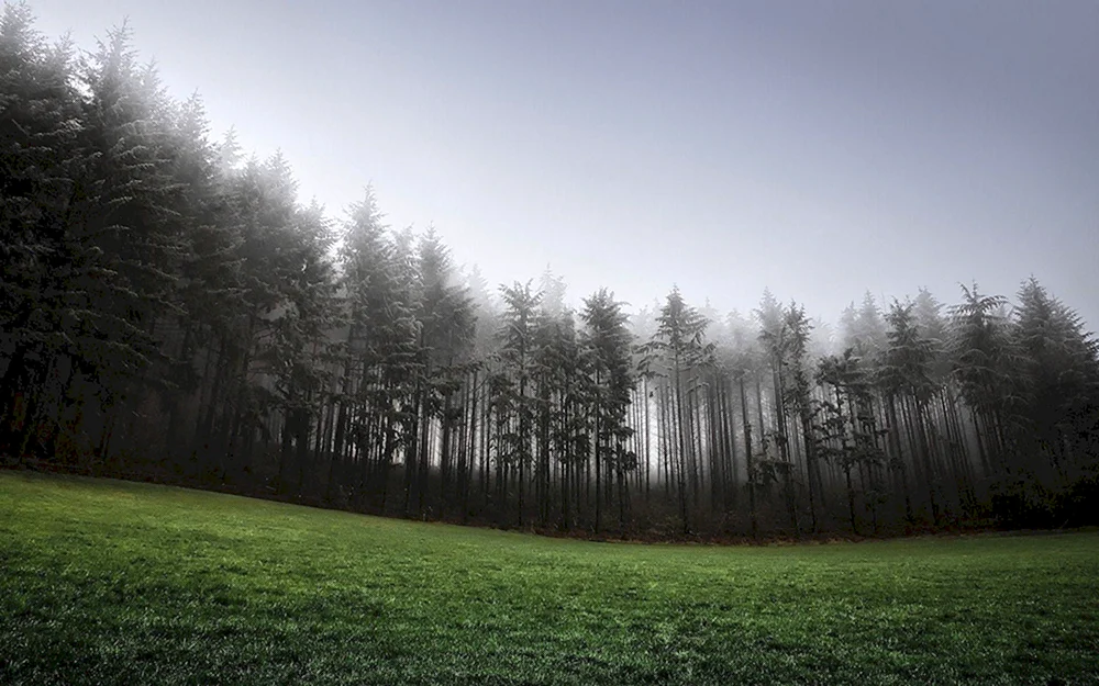 Trillemarka Wald- Rollagsfjell