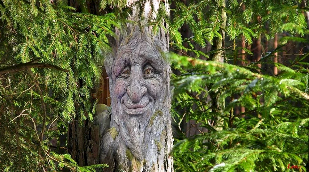 Leshy Waldgeist