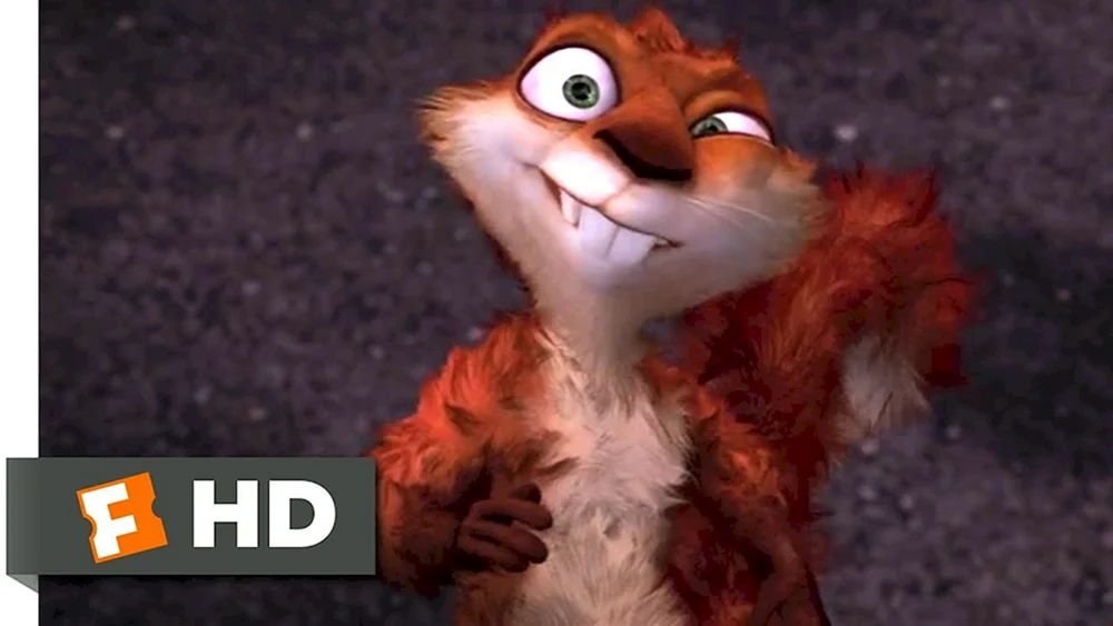 Hammys Eichhörnchen der Waldhörnchen