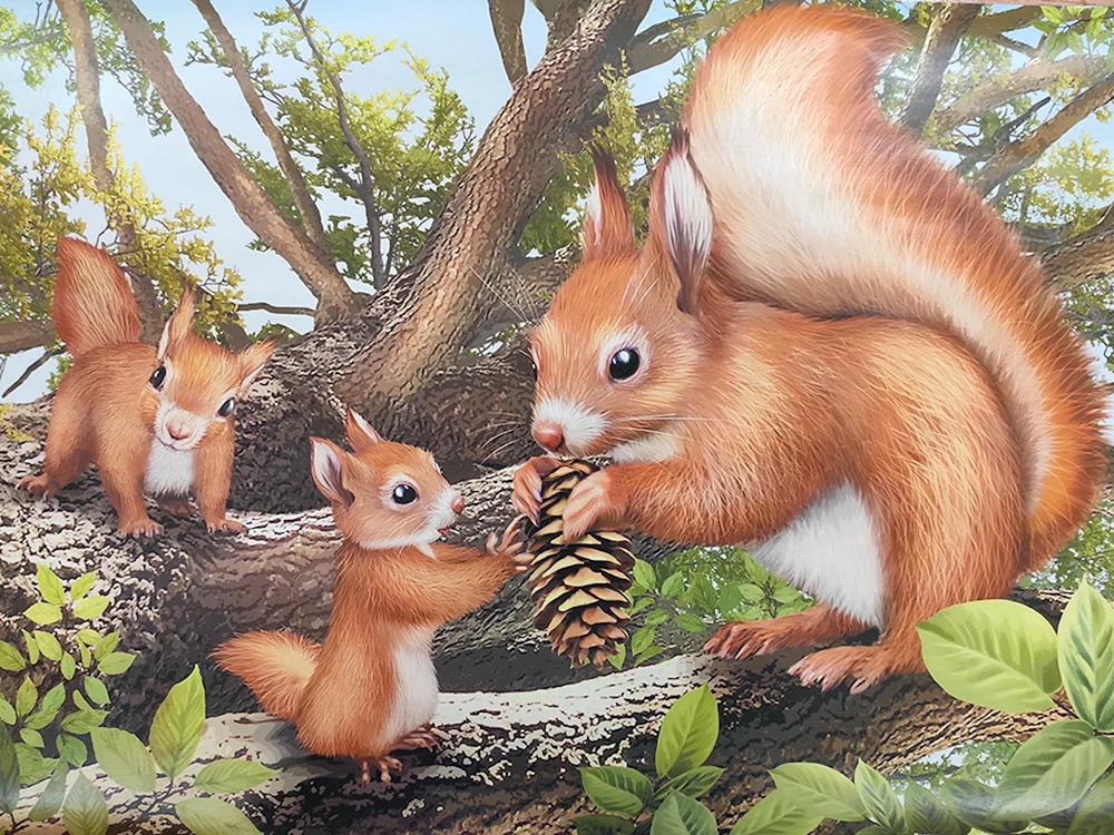 Eichhörnchen Zeichnung