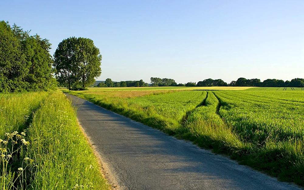 Sommerstraße