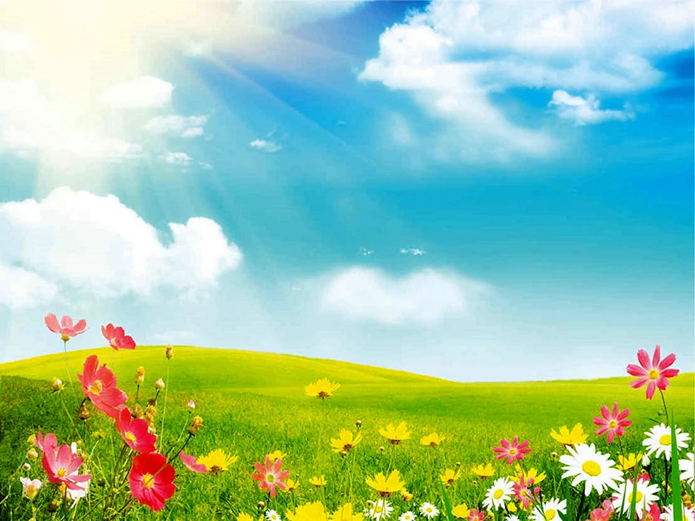 Sommerhintergründe