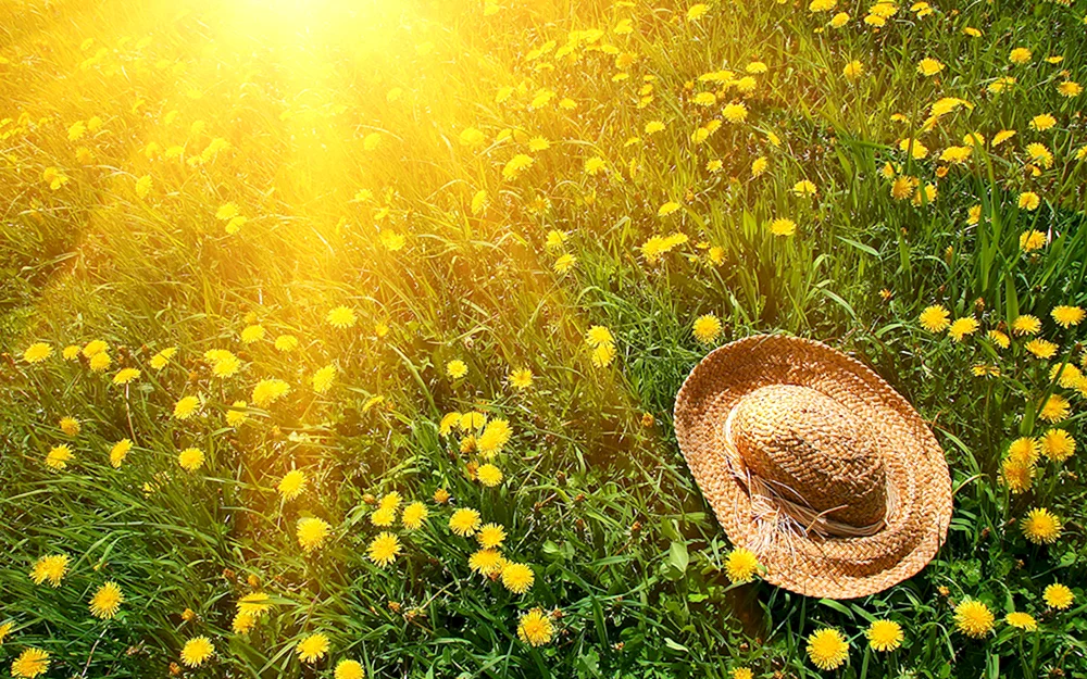 Sonnenfreude