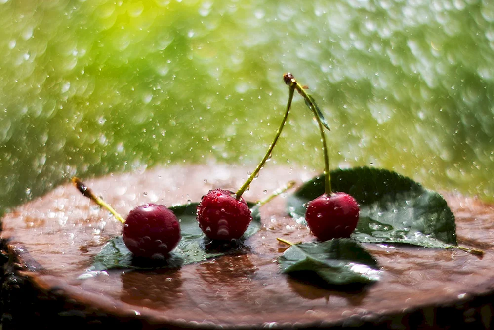 Regen