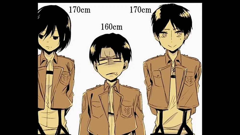 Levi Angriff der Titanen Wachstum