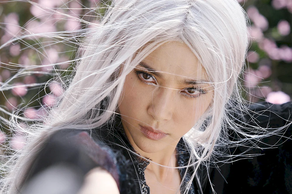 Li Bingbing verbotenes Königreich