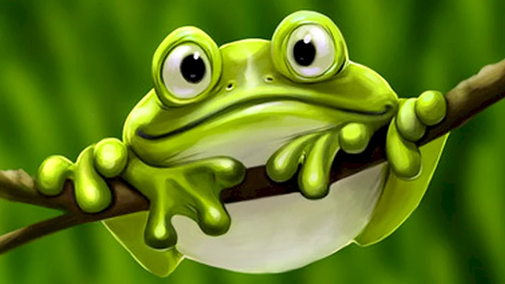 Sonnenbrille Frosch.