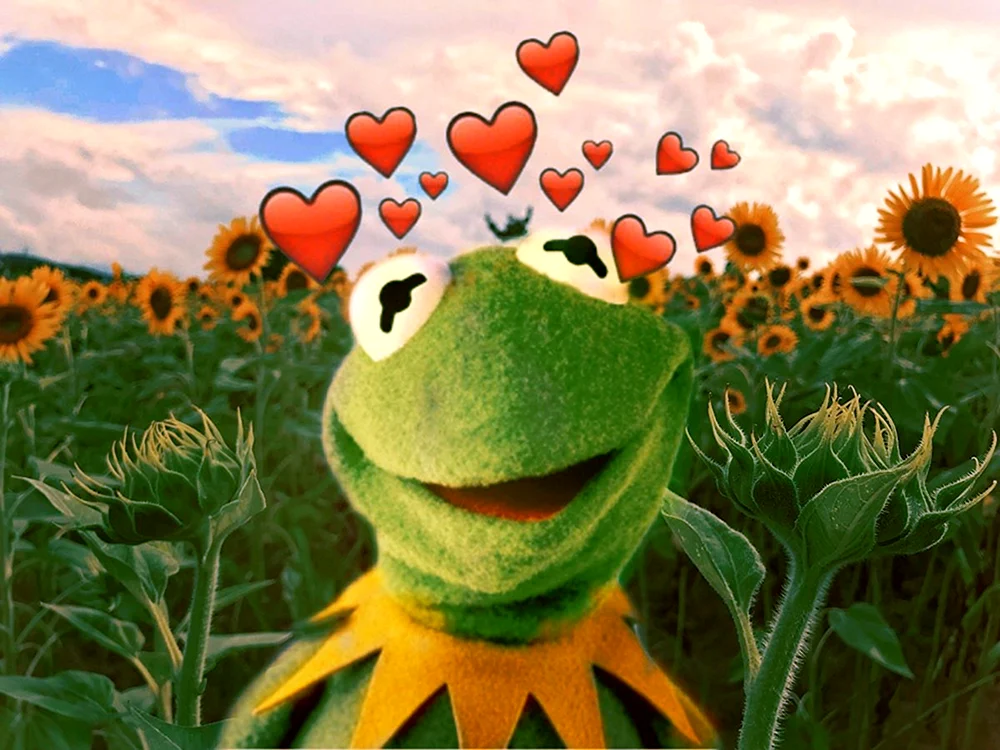 Kermit der Frosch Aesthetica