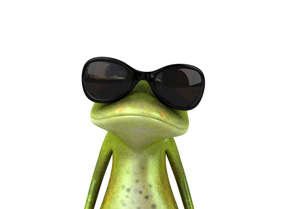 Frosch mit Brille
