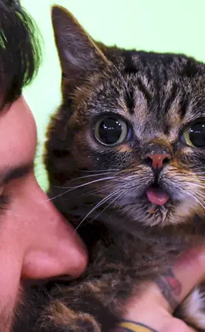 Lil bab cat