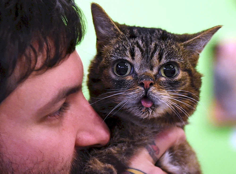Lil bab cat